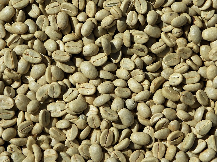 Coffe beans in silo